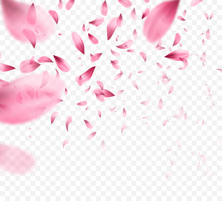 Pink sakura falling petals background. Vector illustrationのイラスト素材