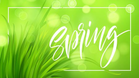 Frash Spring green grass background with handwriting lettering. Vector illustration EPS10のイラスト素材
