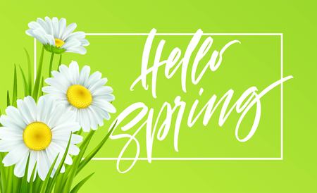 Spring background with daisies and fresh green grass. Hello Spring handwriting Lettering. Vector illustration EPS10のイラスト素材