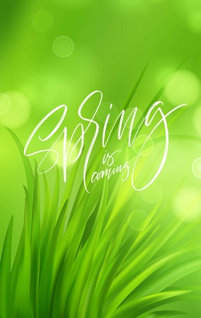 Frash Spring green grass background with handwriting lettering. Vector illustration EPS10のイラスト素材