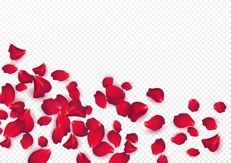 Backdrop of rose petals isolated on a transparent white background. Valentine day background. Vector illustration EPS10のイラスト素材