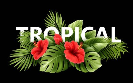 Exotic Tropical hibiscus flowers and monstera leaves, palm leaves of tropical plants isolated on blackのイラスト素材