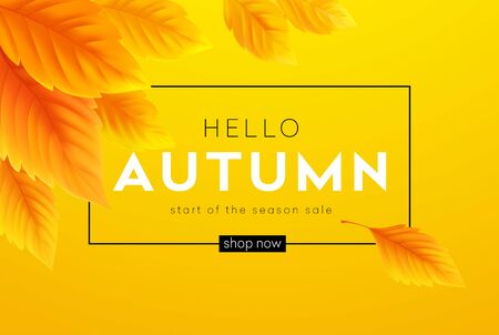 Hello Autumn sale background with realistic yellow autumn leaves. Vector illustrationのイラスト素材