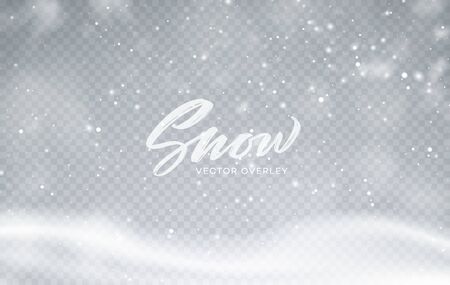 Christmas winter snowy landscape background. Winter snow dust background. Vector illustration EPS10のイラスト素材