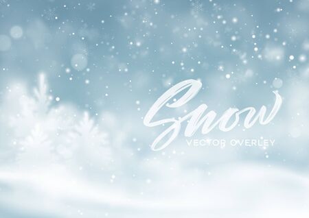 Christmas winter snowy landscape background. Winter snow dust background. Vector illustration EPS10のイラスト素材