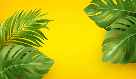 Bright yellow summer background with tropical realistic monstera and palm leaves. Background design for advertising leaflet, banner, flyer. Vector illustrationのイラスト素材