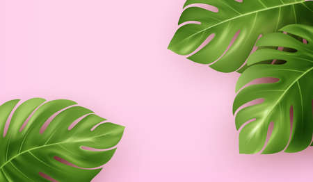 Bright pink summer background with tropical realistic monstera leaves. Background design for advertising leaflet, banner, flyer. Vector illustrationのイラスト素材