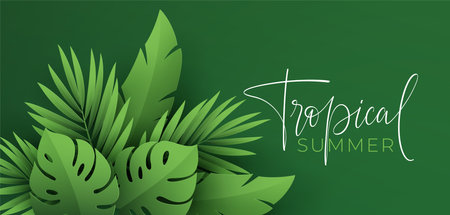 Hello Summer banner. Paper-cut green tropical leaves of palm, monstera. Summer background with tropical plant leaf. Vector illustrationのイラスト素材