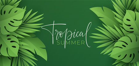 Hello Summer banner. Paper-cut green tropical leaves of palm, monstera. Summer background with tropical plant leaf. Vector illustrationのイラスト素材