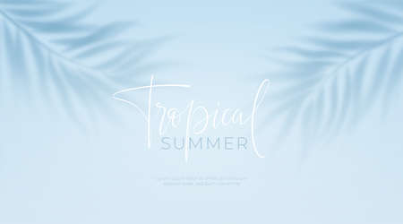 Realistic transparent shadow from a leaf of a palm tree on the blue background. Tropical leaves shadow. Mockup with palm leaves shadow. Vector illustrationのイラスト素材
