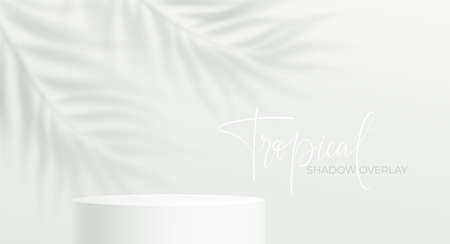 Realistic product podium and transparent shadow from palm leaf on white background. Tropical Leaf Shadow Product Podium Mockup. Vector illustrationのイラスト素材