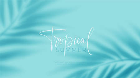 Realistic transparent shadow from a leaf of a palm tree on the blue background. Tropical leaves shadow. Mockup with palm leaves shadow. Vector illustrationのイラスト素材