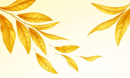 Falling flying autumn leaves background. Realistic autumn yellow leaf isolated on white background. Fall sale background. Vector illustrationのイラスト素材