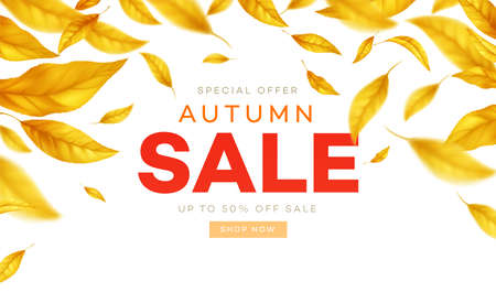 Background for the autumn season of discounts. Fall sale background with flying yellow and orange autumn leaves. Vector illustrationのイラスト素材