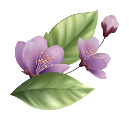 Easter Eggs Bird Wreath Spring Flowerのイラスト素材