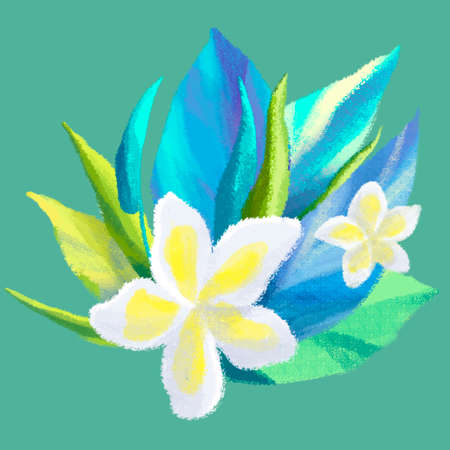 tropical bouquet, flowers and leavesの写真素材