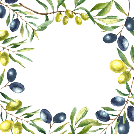 Watercolor olive branch background. Hand draw round card natural vector elements.のイラスト素材