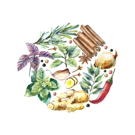 Watercolor herbs and spices frame. Round frame with hand painted food objects: mint, basil, rosemary, parsley, oregano, thyme, bay leaves, green onion, ginger, pepper, vanilla.のイラスト素材