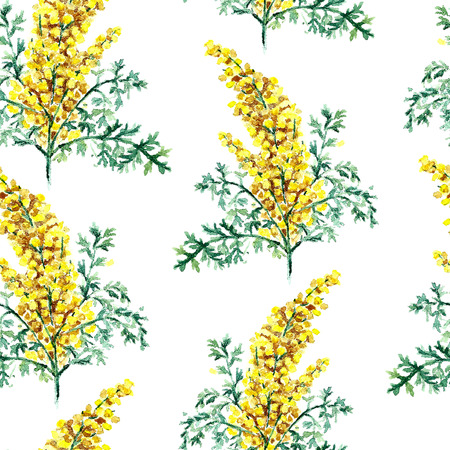 Hand drawn watercolor botanical illustration of the wormwood plant. Wormwood drawing isolated on the white background. Medical herbs illustration, herbarium. seamless pattern. vectorのイラスト素材