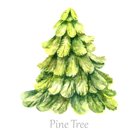 Watercolor christmas tree. Isolated pine tree illustration.Vectorのイラスト素材