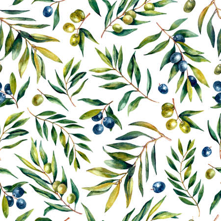 Hand-drawn watercolor collection of the different olives: black and green fruits, branch, leaves, oil in the bottle, sliced olives. Splash watercolor collection of the food illustrationsの写真素材