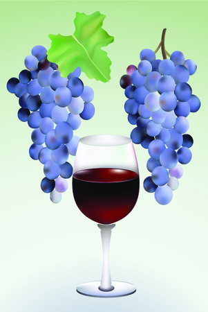grapes and wine.のイラスト素材