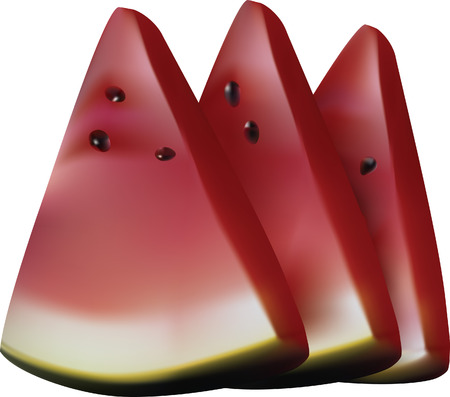 Watermelon slices.のイラスト素材