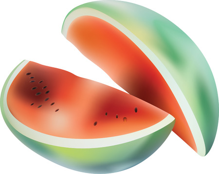 Vector watermelon.のイラスト素材