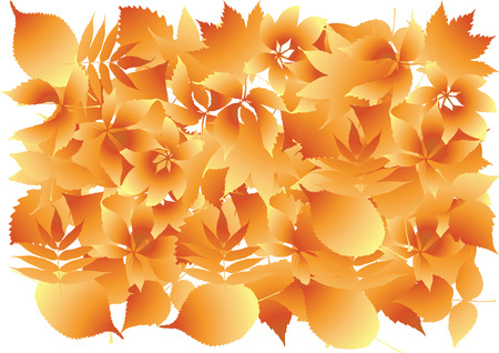 Autumn background.のイラスト素材