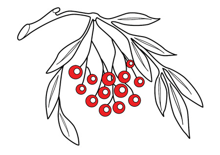 Rowan.のイラスト素材