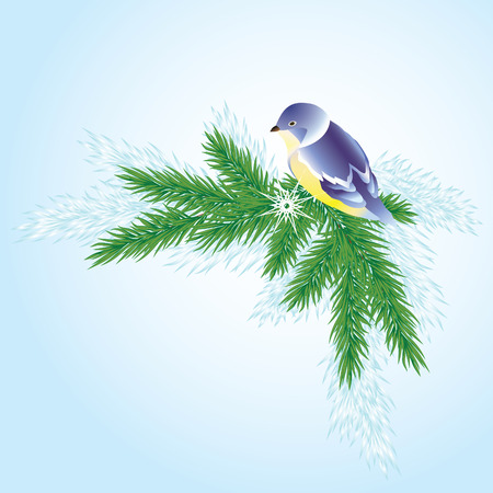 Christmas background with a branch of pine trees and a small bird.のイラスト素材