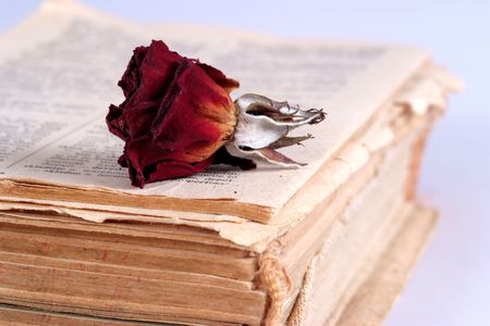 Old book and old red roseの写真素材
