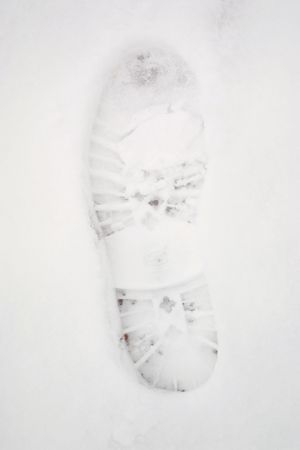 Footprint in fresh snowの写真素材