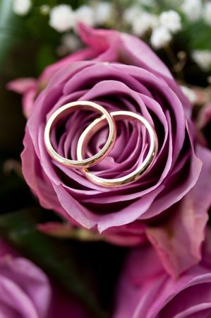 Wedding ringsの写真素材