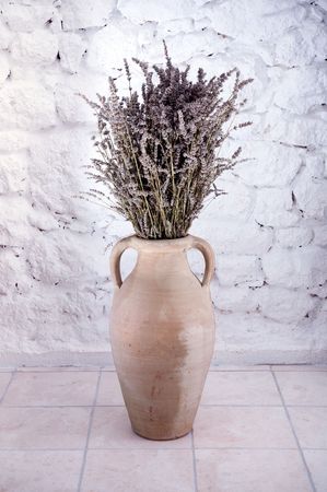 Lavender の写真素材