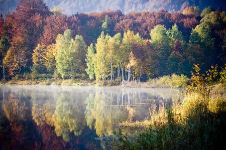 Beautiful forest lake in the autumnの写真素材
