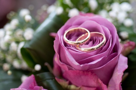 Wedding rings の写真素材