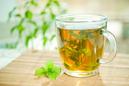 Mint tea with fresh mint leaves の写真素材