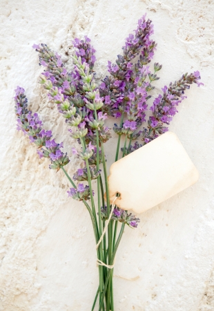 Fresh lavender with old blank paper tagの写真素材