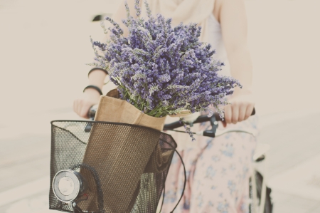 Women riding bike with lavender bouquet in basketの写真素材