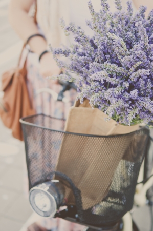 Detail of retro bike with lavender flowers の写真素材