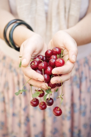 Female hands holding fresh sour cherries の写真素材