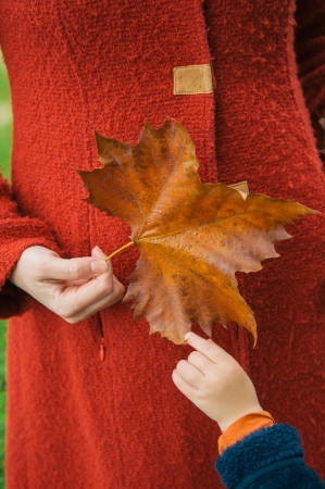 Woman in red coat holding yellow leafの写真素材