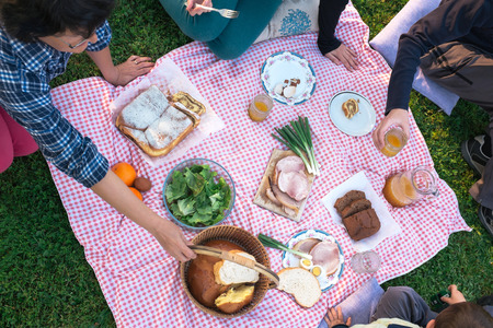 At the picnicの写真素材
