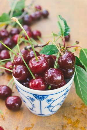 Sour cherries in vintage white cupの写真素材