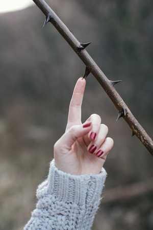 Women's  hand stinging by a thorn. Dangerous conceptの写真素材