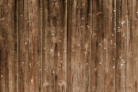 Wooden background with lots of stapler pins in itの写真素材