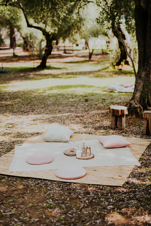 Perfect spot for picnic in olive grooveの写真素材