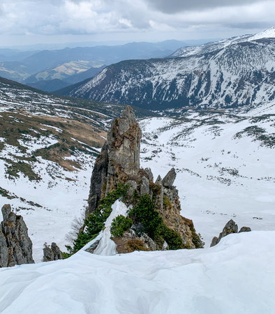Dramatic rocky peak of Mount Shpytsi rising above the snowy slopes of the Chornohora ridge in the Carpathians. The contrast between the snow, stone cliffs, and evergreen shrubs creates breathtaking mountain scene.の写真素材