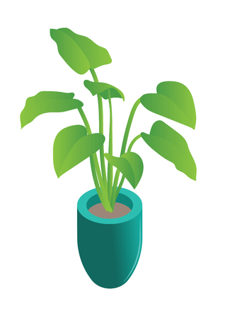 Isometric potted plantのイラスト素材